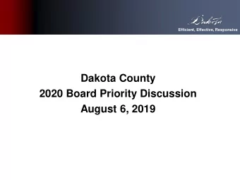 Program and Service Inventory (PSI)  Update  Dakota County  2020 Board Priority Discussion  August