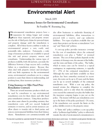 E  nvironmental remediation projects have a  also allow businesses to undertake financing of