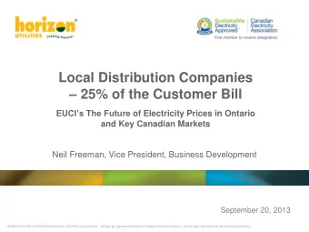 Local Distribution Companies  25% of the Customer Bill EUCIs The Future of Electricity Prices