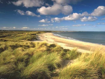 At the moment we dont even really design  cities for peoplewe design cities for  FORD