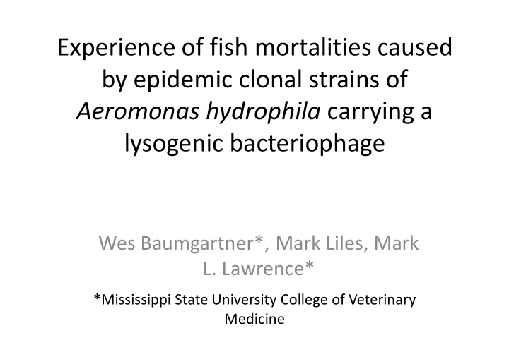 experience of fish mortalities caused by epidemic clonal