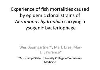 Experience of fish mortalities caused  by epidemic clonal strains of Aeromonas hydrophila carrying