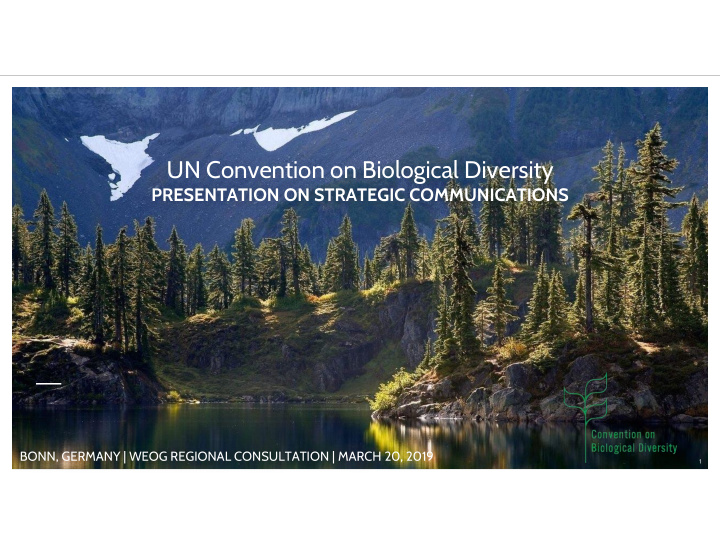 [PPT] - UN Convention on Biological Diversity PRESENTATION ON STRATEGIC ...