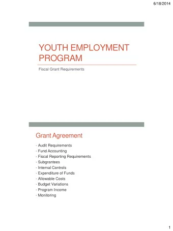 YOUTH EMPLOYMENT  PROGRAM  Fiscal Grant Requirements  Grant Agreement  Audit Requirements