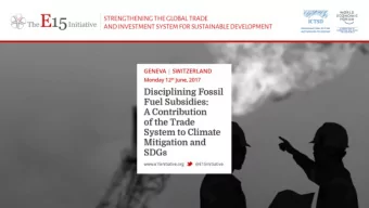 what, why? Baoping Shang, Economist, Fiscal Affairs Department, IMF  www.e15initiative.org  Two