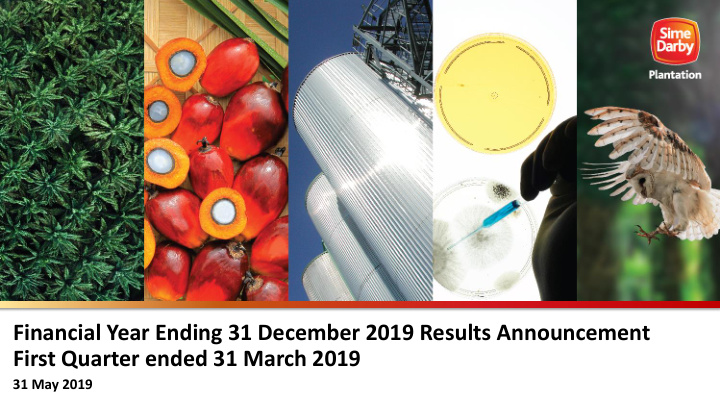 financial year ending 31 december 2019 results