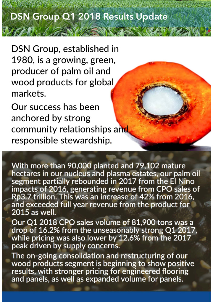 dsn group q1 2018 results update