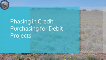 Purchasing for Debit  Projects  The CCS Manual (Section 2.5.3)  Pursuant to Nevada