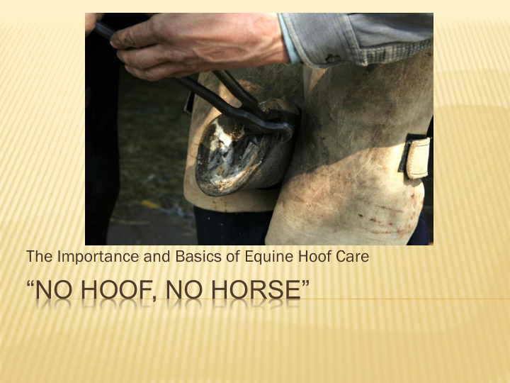no hoof no horse arcadia birklid