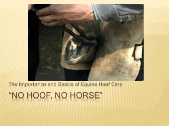 NO HOOF, NO HORSE  ARCADIA BIRKLID  Hoof Matters  Certified  Farrier Services  AAPF