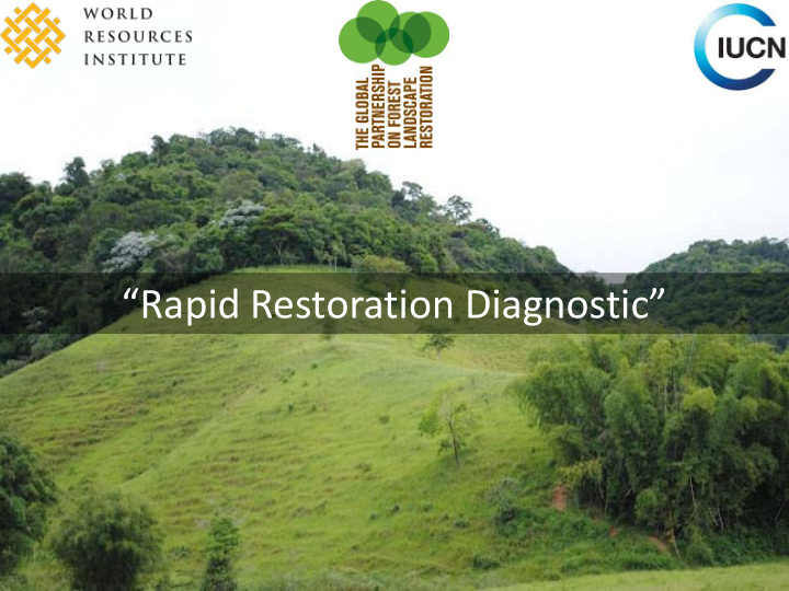 rapid restoration diagnostic look ba k back t to look a