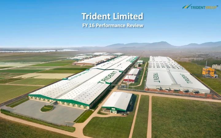 trident limited