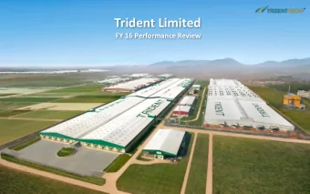 Trident Limited FY 16 Performance Review  Safe Harbour  No representation or warranty, express or