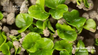 Grupo  upo Nutre  resa  sa S.A.  Resul  ults  ts 1Q  Q 2019  2019  RELEVAN  EVANT EVENTS  Relevant