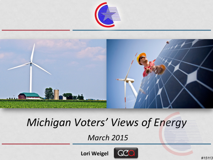 michigan voters views of energy