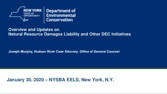January 30, 2020  NYSBA EELS, New York, N.Y.  2  DISCLAIMER  The views expressed by the speaker