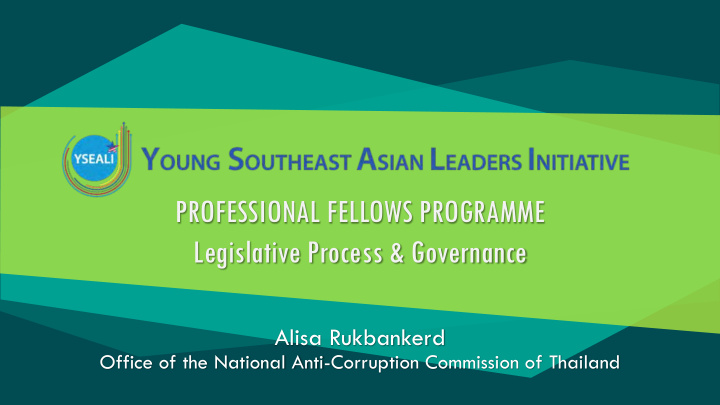professional fellows programme legislative process