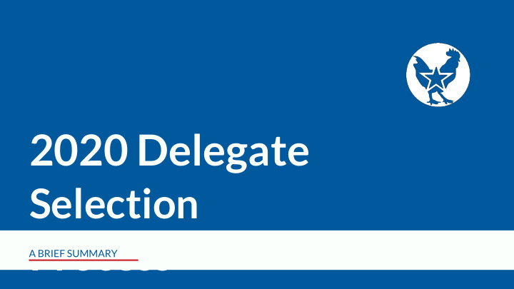 2020 delegate