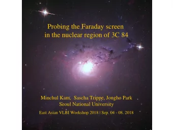 Probing the Faraday screen  in the nuclear region of 3C 84  Minchul Kam,  Sascha Trippe, Jongho