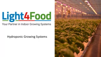 Hydroponic Growing Systems  History  Mushroom Cultivation  30 Years  -  Technology  -  Idea Salad a
