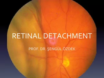 RETINAL DETACHMENT PROF. DR. ENGL ZDEK  Histoloji  Anatomy  RETINAL DETACHMENT  Separation