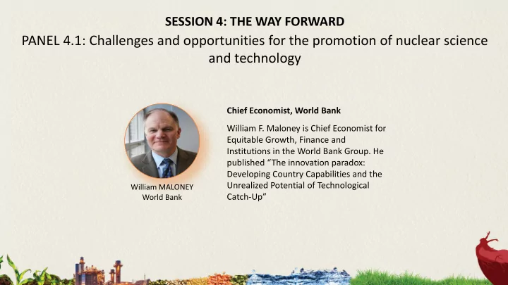 panel 4 1 challenges and opportunities for the promotion