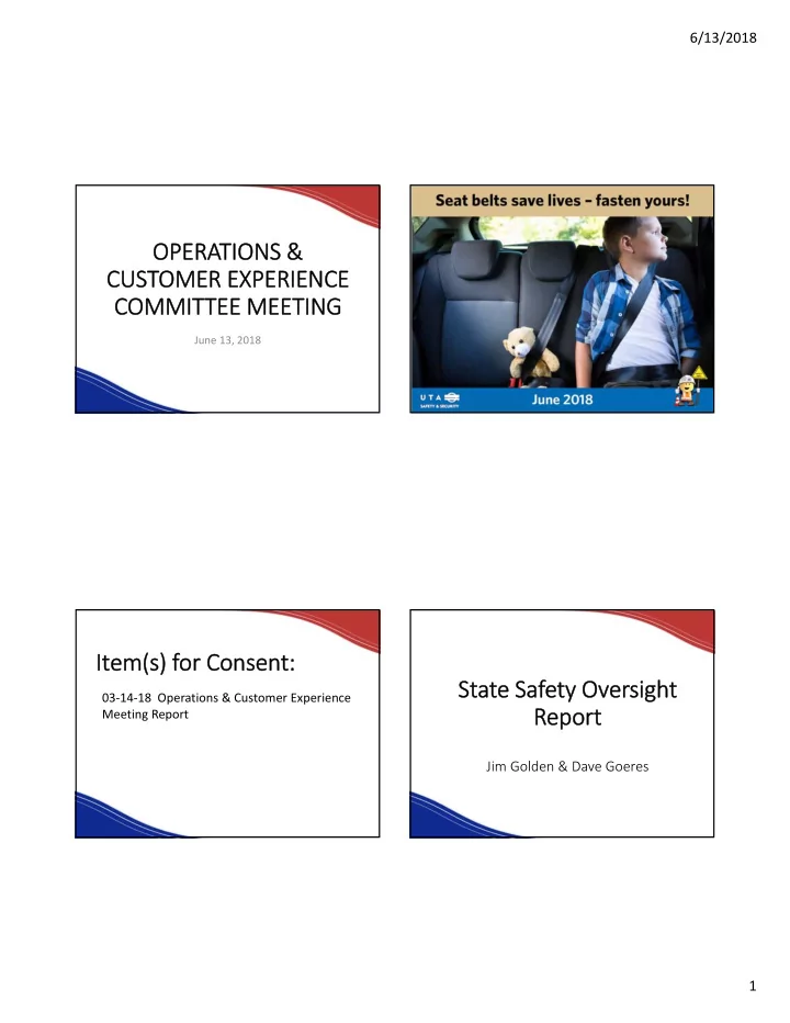 operations customer experience committee meeting