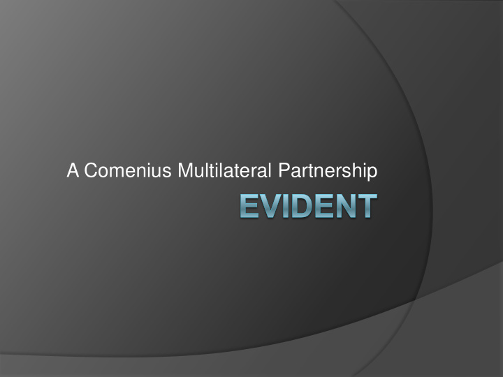 a comenius multilateral partnership llp programme
