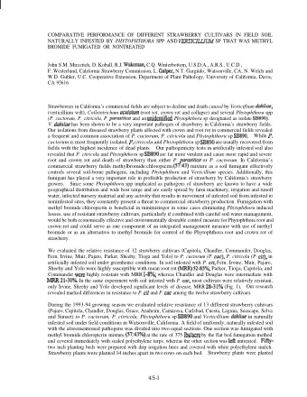 either between August 15 and September 10 (summer planting) or between October 15 and November 20