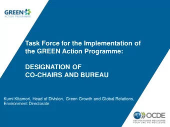 Task Force for the Implementation of  the GREEN Action Programme:  DESIGNATION OF  CO-CHAIRS AND
