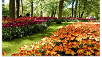 Show Me the Money  Presented by  Mary Shipp, DDS  Dr.maryshipp@gmail.com  612-237-5504  My