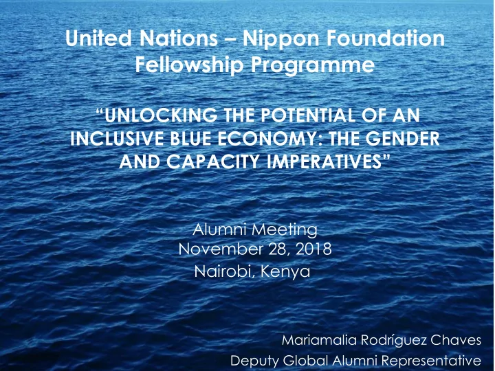 united nations nippon foundation fellowship programme