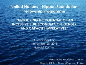 United Nations  Nippon Foundation  Fellowship Programme  UNLOCKING THE POTENTIAL OF AN