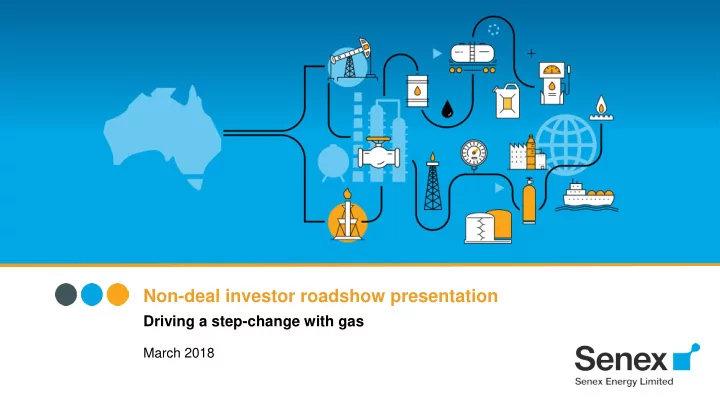 non deal investor roadshow presentation