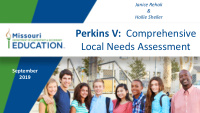 perkins v comprehensive local needs assessment