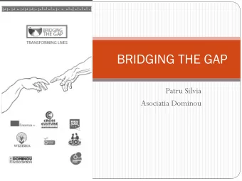BRIDGING THE GAP  Patru Silvia  Asociatia Dominou  Fostering local youth workers to perform more