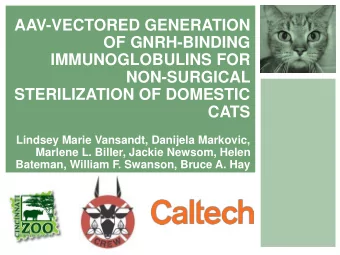 IMMUNOGLOBULINS FOR  NON-SURGICAL  STERILIZATION OF DOMESTIC  CATS  Lindsey Marie Vansandt,