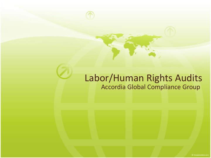 labor human rights audits