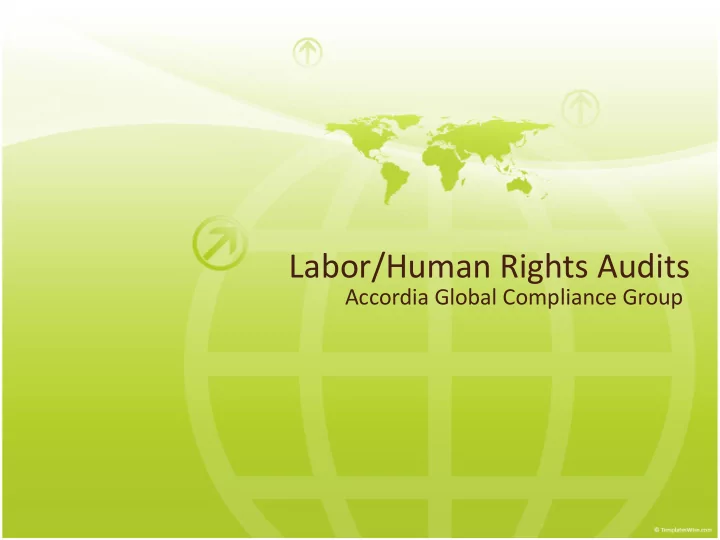 labor human rights audits