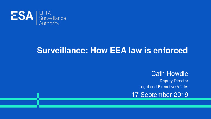 surveillance how eea law is enforced