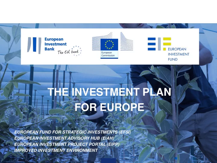 the investment plan for europe