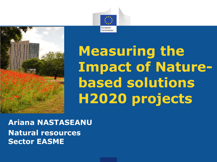 measuring the impact of nature based solutions h2020