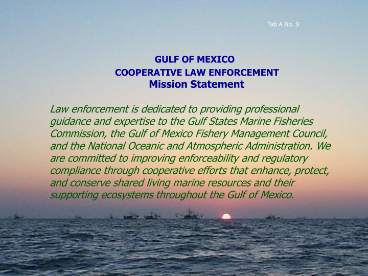 commission the gulf of mexico fishery management council