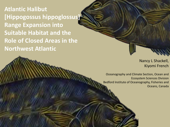 atlantic halibut hippogossus hippoglossus range expansion