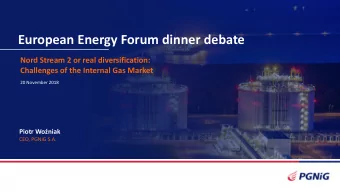 European Energy Forum dinner debate  Nord Stream 2 or real diversification:  Challenges of the