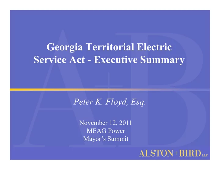 georgia territorial electric service act executive summary