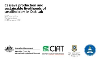 Cassava production and  sustainable livelihoods of  smallholders in Dak Lak  Mid-Term review