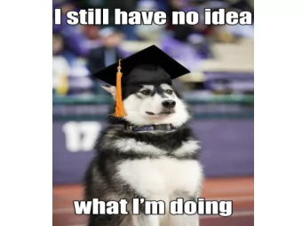 CLASS OF 2018!!!!  THIS WAS YOU JUST 4 SHORT YEARS AGO.BABY HUSKIES!  LOOK AT YOU NOW!