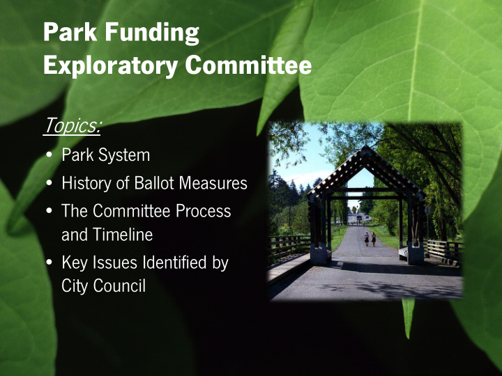 park funding exploratory committee