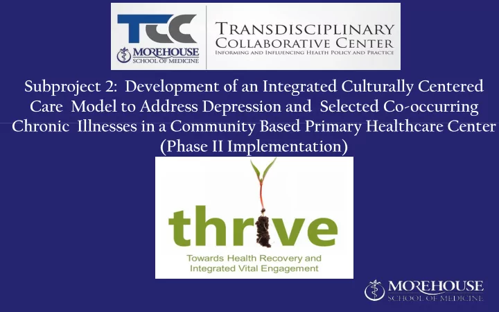 subproject 2 development of an integrated culturally